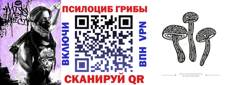 Купить  Озёрск  Псилоцибиновые грибы прущие грибы 